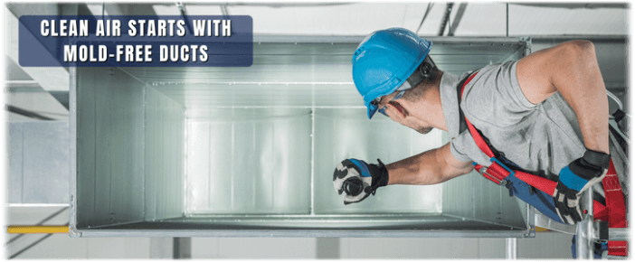 Air Duct Mold Removal in Hoboken