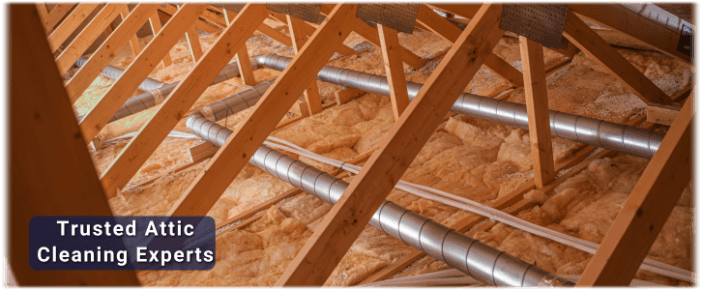 Attic Cleaning Hoboken