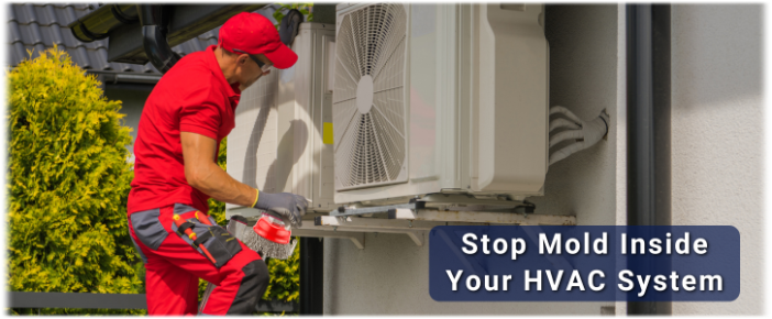 HVAC Mold Removal Hoboken